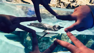 すみだ水族館に投稿された画像（2023/10/22）