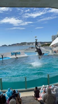 鴨川シーワールドに投稿された画像（2023/10/22）