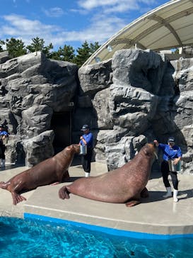 鴨川シーワールドに投稿された画像（2023/10/22）