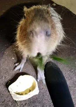 マクセル アクアパーク品川に投稿された画像（2023/10/22）