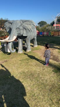 別府ケーブルラクテンチに投稿された画像（2023/10/22）