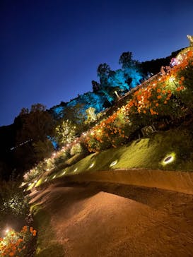 いばらきフラワーパークに投稿された画像（2023/10/22）