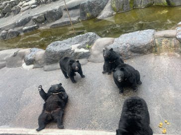 奥飛騨クマ牧場に投稿された画像（2023/10/22）