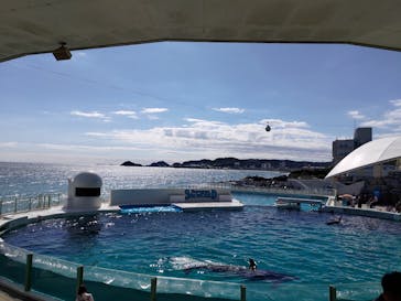 鴨川シーワールドに投稿された画像（2023/10/22）