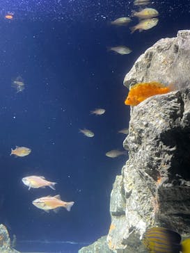 サンシャイン水族館に投稿された画像（2023/10/22）