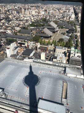 ニデック京都タワーに投稿された画像（2023/10/22）