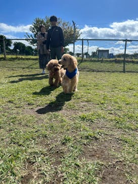 伊豆ぐらんぱる公園に投稿された画像（2023/10/22）