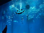 アクアワールド茨城県大洗水族館に投稿された画像（2023/10/23）