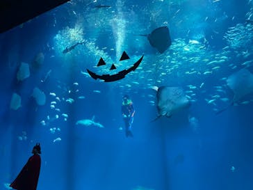 アクアワールド茨城県大洗水族館に投稿された画像（2023/10/22）