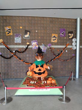 福井県立恐竜博物館に投稿された画像（2023/10/22）