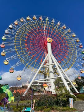 上越国際プレイランドに投稿された画像（2023/10/22）