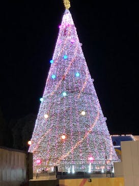 レオマリゾートに投稿された画像（2023/10/22）