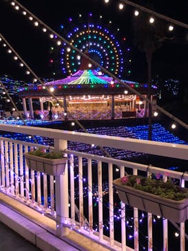 レオマリゾートに投稿された画像（2023/10/22）