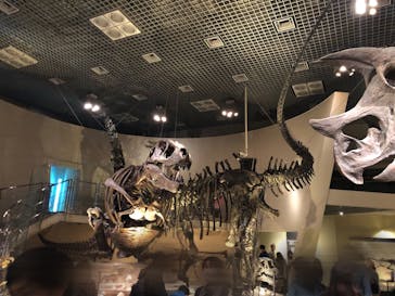 国立科学博物館に投稿された画像（2023/10/22）