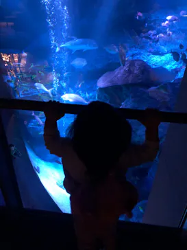 すみだ水族館に投稿された画像（2023/10/23）