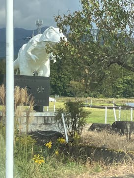 福井県立恐竜博物館に投稿された画像（2023/10/23）