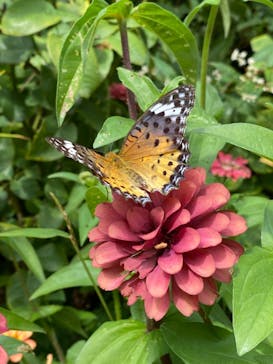 横浜イングリッシュガーデンに投稿された画像（2023/10/23）