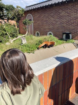 東武動物公園に投稿された画像（2023/10/23）
