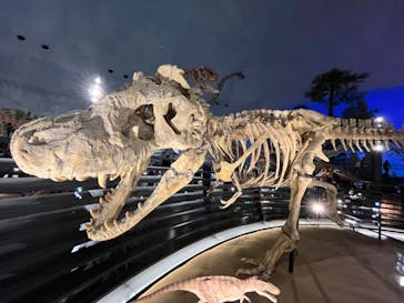 福井県立恐竜博物館に投稿された画像（2023/10/23）