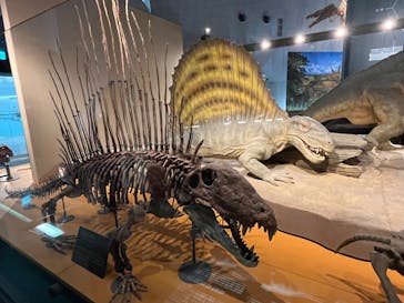 福井県立恐竜博物館に投稿された画像（2023/10/23）