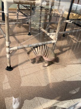 大分マリーンパレス水族館 「うみたまご」に投稿された画像（2023/10/23）