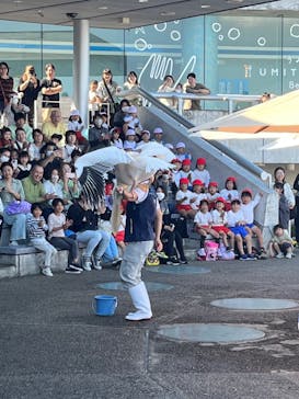 大分マリーンパレス水族館 「うみたまご」に投稿された画像（2023/10/23）