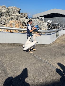 大分マリーンパレス水族館 「うみたまご」に投稿された画像（2023/10/23）