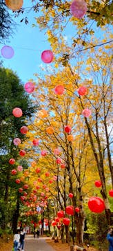 ムーミンバレーパークに投稿された画像（2023/10/23）