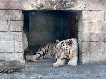 東武動物公園に投稿された画像（2023/10/23）