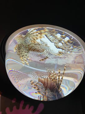 サンシャイン水族館に投稿された画像（2023/10/23）