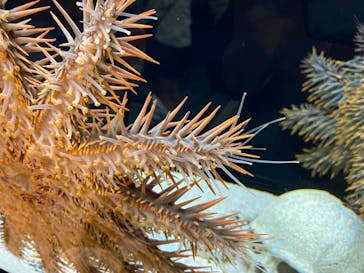 サンシャイン水族館に投稿された画像（2023/10/23）