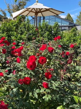 いばらきフラワーパークに投稿された画像（2023/10/23）