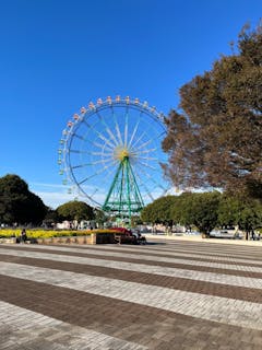 国営ひたち海浜公園プレジャーガーデン／口コミ一覧｜アソビュー！