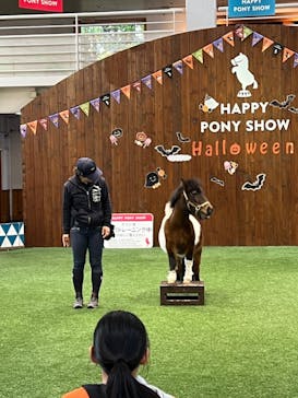 ノーザンホースパークに投稿された画像（2023/10/23）