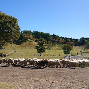伊香保グリーン牧場に投稿された画像（2023/10/23）