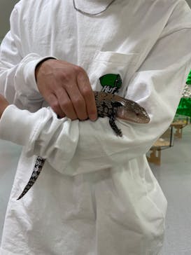 いきもの探検隊に投稿された画像（2023/10/23）