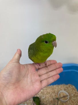 いきもの探検隊に投稿された画像（2023/10/23）