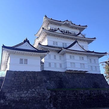 小田原城に投稿された画像（2023/10/23）