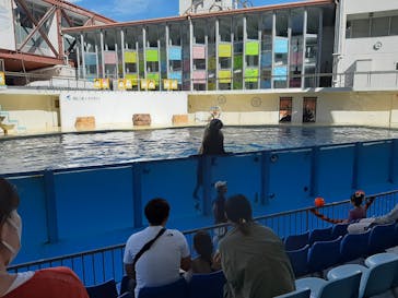 伊豆・三津シーパラダイスに投稿された画像（2023/10/23）