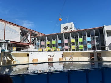 伊豆・三津シーパラダイスに投稿された画像（2023/10/23）