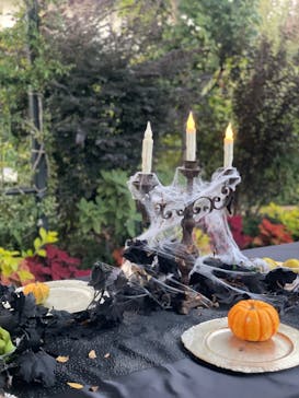 横浜イングリッシュガーデンに投稿された画像（2023/10/23）