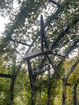 横浜イングリッシュガーデンに投稿された画像（2023/10/23）