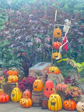 横浜イングリッシュガーデンに投稿された画像（2023/10/23）