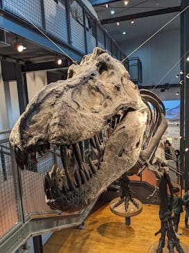 福井県立恐竜博物館に投稿された画像（2023/10/23）