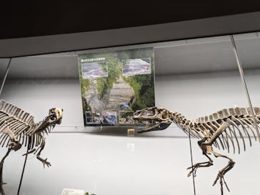 福井県立恐竜博物館に投稿された画像（2023/10/23）