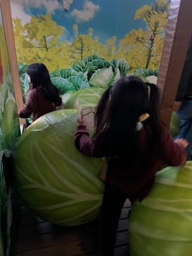 鈴鹿サーキットに投稿された画像（2023/10/23）