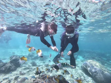 武藤潜水に投稿された画像（2023/10/23）