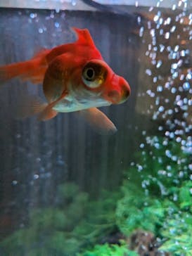 NARA IKIMONO MUSEUMに投稿された画像（2023/10/23）