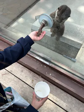 横浜・八景島シーパラダイスに投稿された画像（2023/10/23）