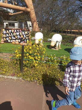 東武動物公園に投稿された画像（2023/10/23）